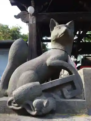 被官稲荷神社の狛犬