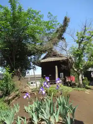伏木香取神社(茨城県)