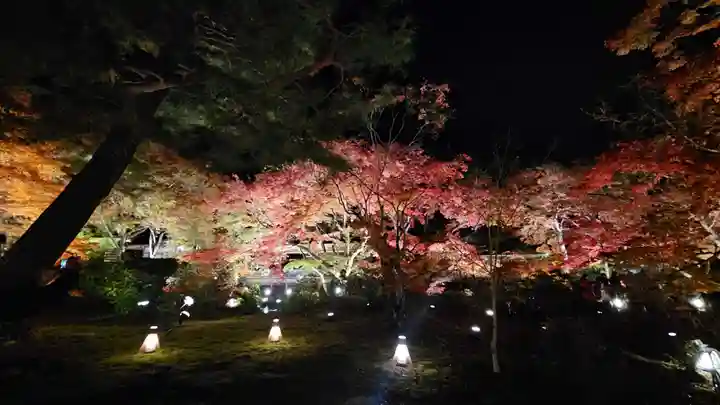 宝厳院(京都府)