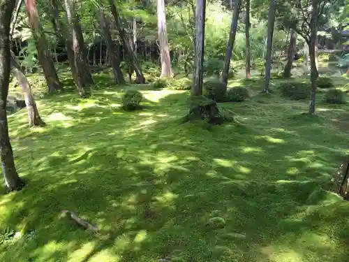 西芳寺の景色