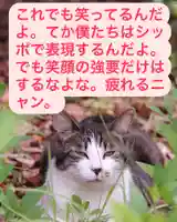 専念寺(大阪府)