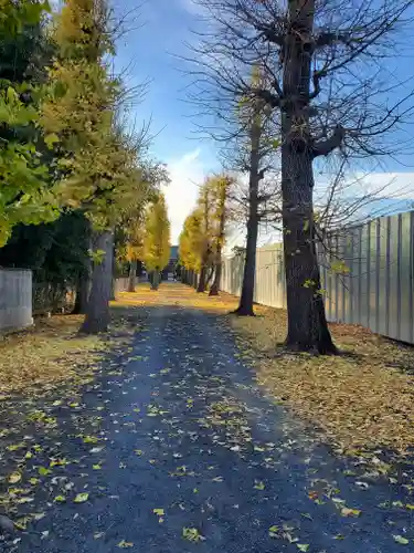 龍泉寺 (福富町)の周辺