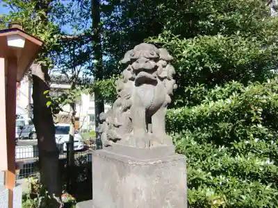 松戸神社の狛犬