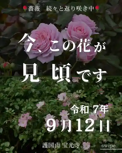 宝光寺(北海道)