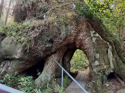 東霧島神社(宮崎県)