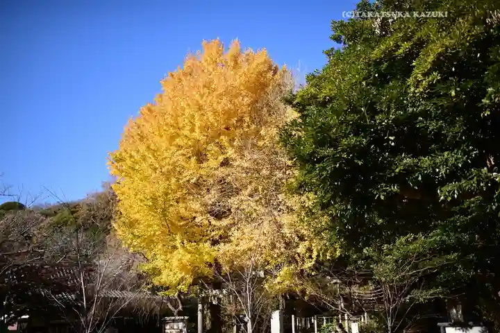 葛原岡神社(神奈川県)