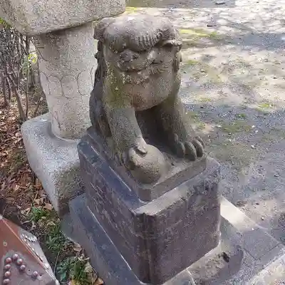 高野胡録神社の狛犬
