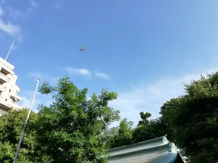 白金氷川神社の自然