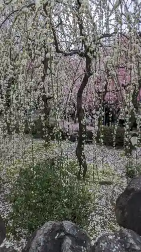 城南宮の{uncategorized: "未分類", other: "その他", undefined: "問題あり", building: "その他建物", grave: "お墓", sacred_gate: "鳥居", guardian: "狛犬", statue: "像", buddha: "仏像", history: "歴史", nature: "自然", garden: "庭園", animal: "動物", pagoda: "塔", temizu: "手水舎", mountain_gate: "山門・神門", sanctuary: "本殿・本堂", subordinate: "末社・摂社", art: "芸術", scenery: "景色", jizo: "地蔵", ema: "絵馬", goshuin: "御朱印", omikuji: "おみくじ", items: "授与品その他", amulet: "お守り", goshuincho: "御朱印帳", eats: "食事", festival: "お祭り", votive_dance: "神楽", shichigosan: "七五三参", wedding: "結婚式", experience: "体験その他", initially: "初詣", around: "周辺", anti_infection: "感染症対策"}