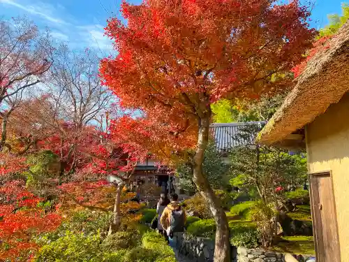 華厳寺（鈴虫寺）のその他建物