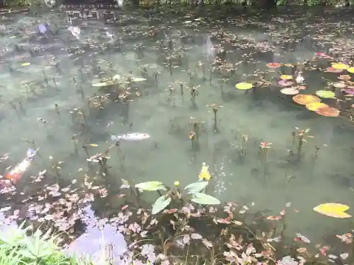 根道神社の自然