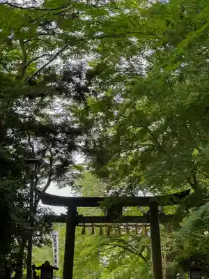 志波彦神社・鹽竈神社(宮城県)