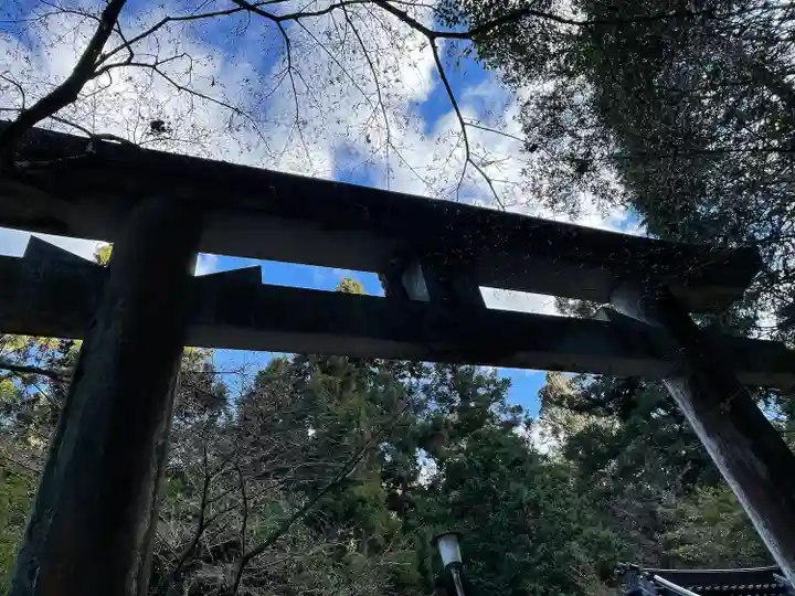 石鎚神社 口之宮 本社の鳥居