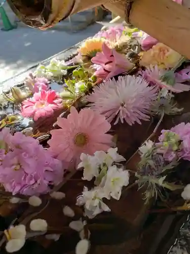 鳩森八幡神社(東京都)