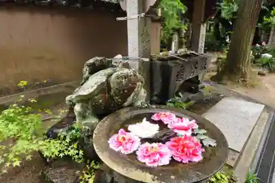 浄瑠璃寺(愛媛県)