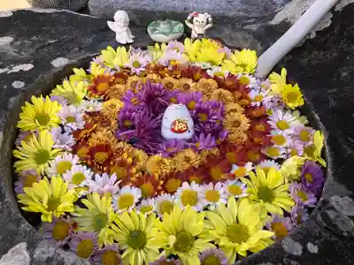 真言宗　善通寺派　薬王寺(香川県)