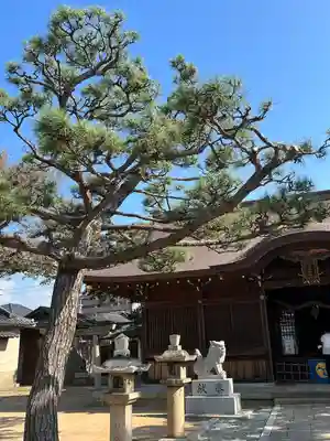 舞子六神社/まいこむの宮(兵庫県)