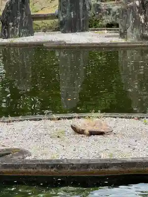 松尾大社(京都府)