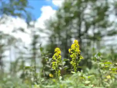 高峯神社(大室神社奥宮)(長野県)