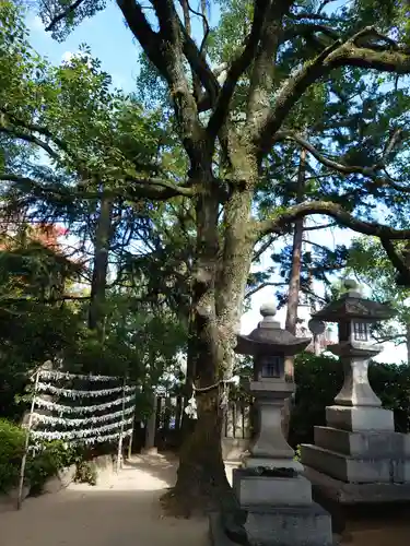 空鞘稲生神社の自然