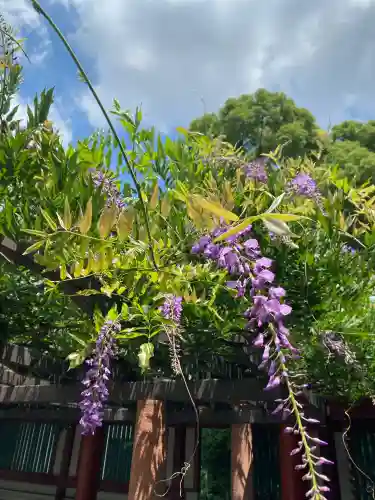 日枝神社(東京都)