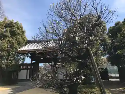 大昌寺(東京都)