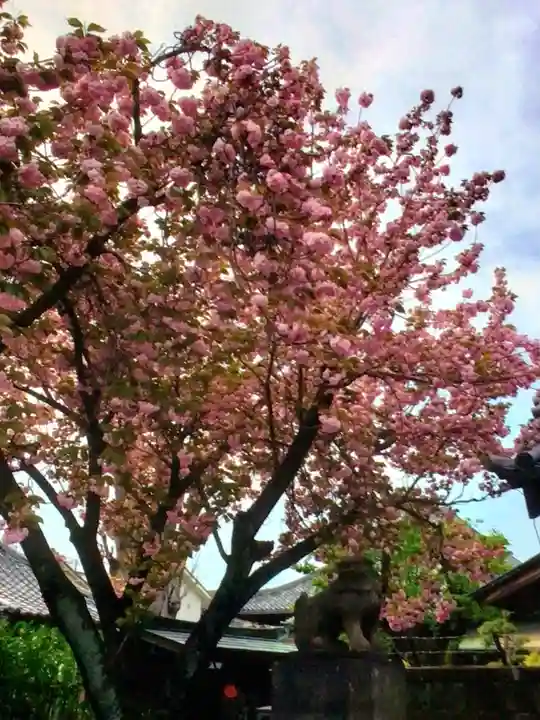 荘厳寺(東京都)