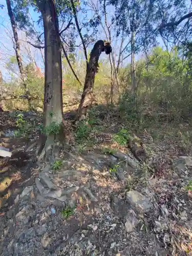 稲荷神社（借宿町）(栃木県)