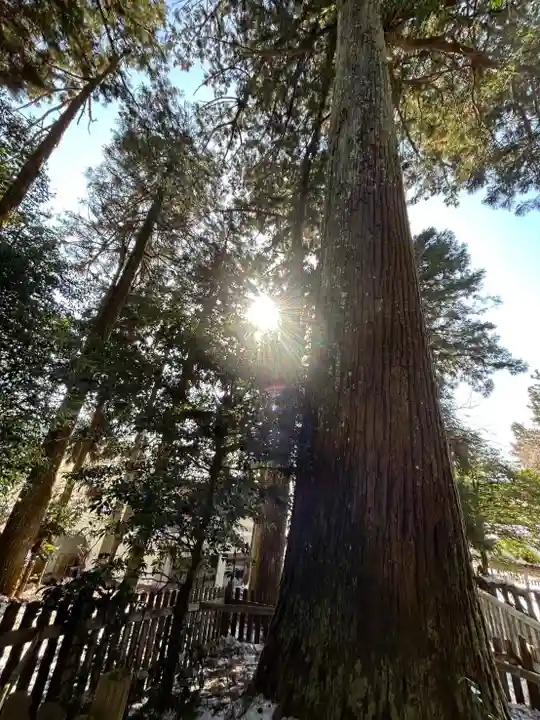 天鷹神社(岐阜県)