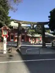 藤崎八旛宮の鳥居