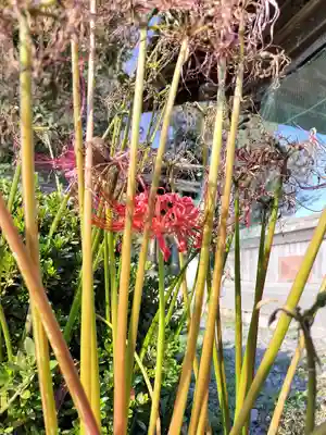 小川月神社(京都府)