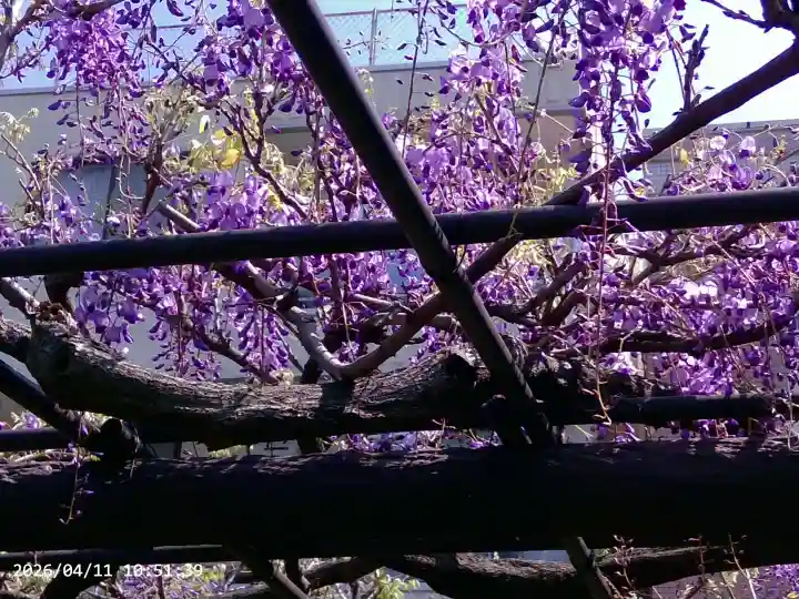 亀戸天神社の{uncategorized: "未分類", other: "その他", undefined: "問題あり", building: "その他建物", grave: "お墓", sacred_gate: "鳥居", guardian: "狛犬", statue: "像", buddha: "仏像", history: "歴史", nature: "自然", garden: "庭園", animal: "動物", pagoda: "塔", temizu: "手水舎", mountain_gate: "山門・神門", sanctuary: "本殿・本堂", subordinate: "末社・摂社", art: "芸術", scenery: "景色", jizo: "地蔵", ema: "絵馬", goshuin: "御朱印", omikuji: "おみくじ", items: "授与品その他", amulet: "お守り", goshuincho: "御朱印帳", eats: "食事", festival: "お祭り", votive_dance: "神楽", shichigosan: "七五三参", wedding: "結婚式", experience: "体験その他", initially: "初詣", around: "周辺", anti_infection: "感染症対策"}