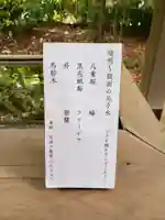 赤坂氷川神社(東京都)