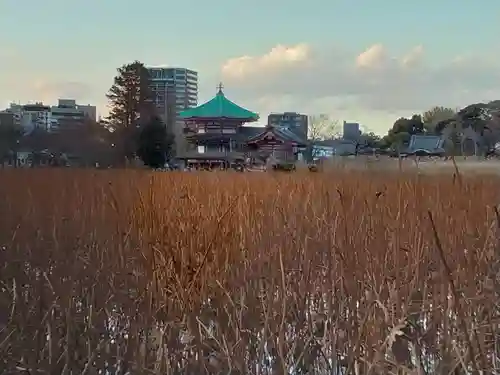 寛永寺不忍池弁天堂のその他建物
