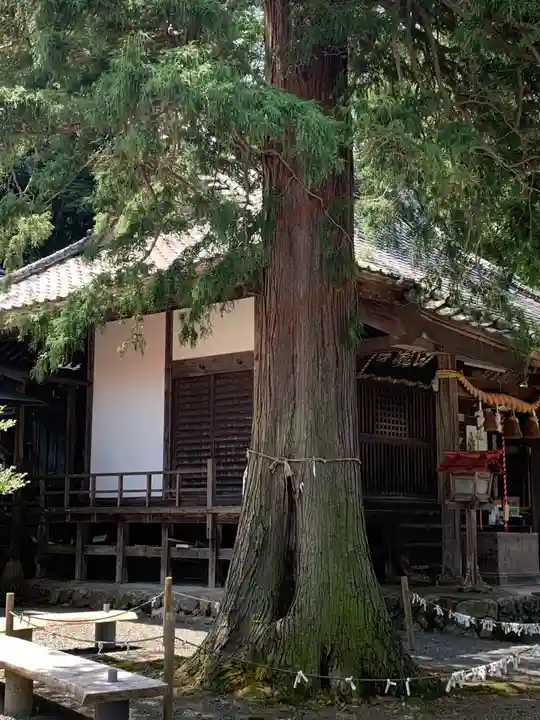 白瀧神社(群馬県)