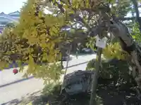 傳心寺(神奈川県)