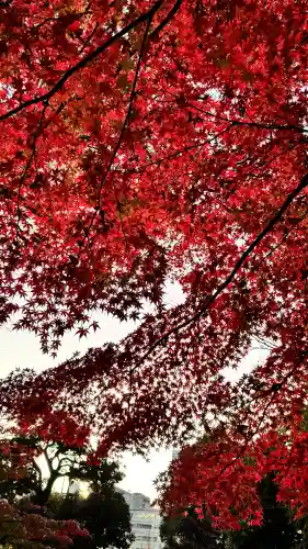 【閉業】小石川大神宮の{uncategorized: "未分類", other: "その他", undefined: "問題あり", building: "その他建物", grave: "お墓", sacred_gate: "鳥居", guardian: "狛犬", statue: "像", buddha: "仏像", history: "歴史", nature: "自然", garden: "庭園", animal: "動物", pagoda: "塔", temizu: "手水舎", mountain_gate: "山門・神門", sanctuary: "本殿・本堂", subordinate: "末社・摂社", art: "芸術", scenery: "景色", jizo: "地蔵", ema: "絵馬", goshuin: "御朱印", omikuji: "おみくじ", items: "授与品その他", amulet: "お守り", goshuincho: "御朱印帳", eats: "食事", festival: "お祭り", votive_dance: "神楽", shichigosan: "七五三参", wedding: "結婚式", experience: "体験その他", initially: "初詣", around: "周辺", anti_infection: "感染症対策"}