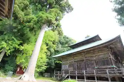 松尾寺のその他建物
