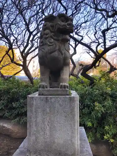 新井天神北野神社の狛犬