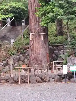 中氷川神社(埼玉県)