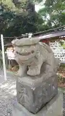 菊田神社の狛犬