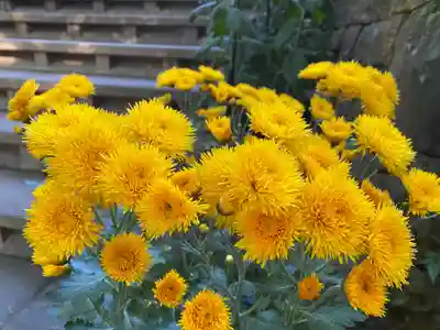 彦嶽宮(熊本県)