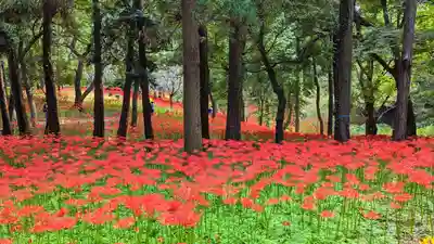 七百餘所神社 の周辺