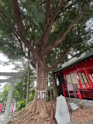 玉前神社の{uncategorized: "未分類", other: "その他", undefined: "問題あり", building: "その他建物", grave: "お墓", sacred_gate: "鳥居", guardian: "狛犬", statue: "像", buddha: "仏像", history: "歴史", nature: "自然", garden: "庭園", animal: "動物", pagoda: "塔", temizu: "手水舎", mountain_gate: "山門・神門", sanctuary: "本殿・本堂", subordinate: "末社・摂社", art: "芸術", scenery: "景色", jizo: "地蔵", ema: "絵馬", goshuin: "御朱印", omikuji: "おみくじ", items: "授与品その他", amulet: "お守り", goshuincho: "御朱印帳", eats: "食事", festival: "お祭り", votive_dance: "神楽", shichigosan: "七五三参", wedding: "結婚式", experience: "体験その他", initially: "初詣", around: "周辺", anti_infection: "感染症対策"}