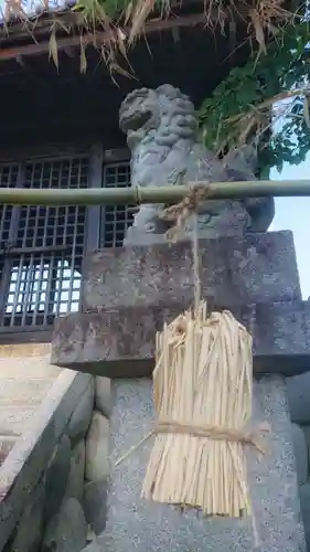 白山社（井堀）の狛犬