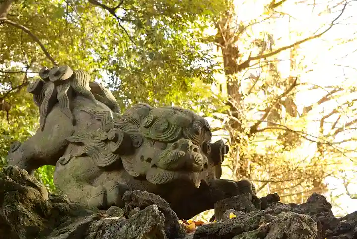 赤坂氷川神社の狛犬