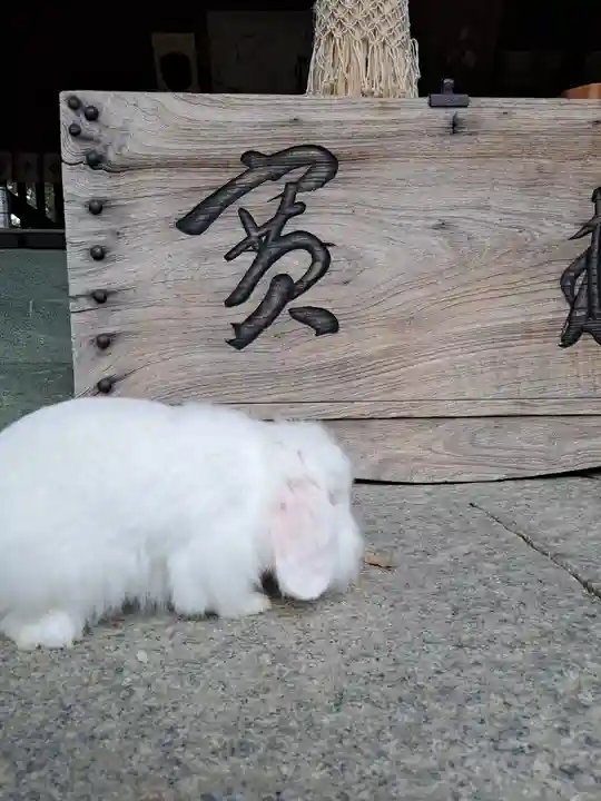 大御和神社(徳島県)