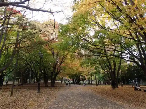 北海道神宮の景色