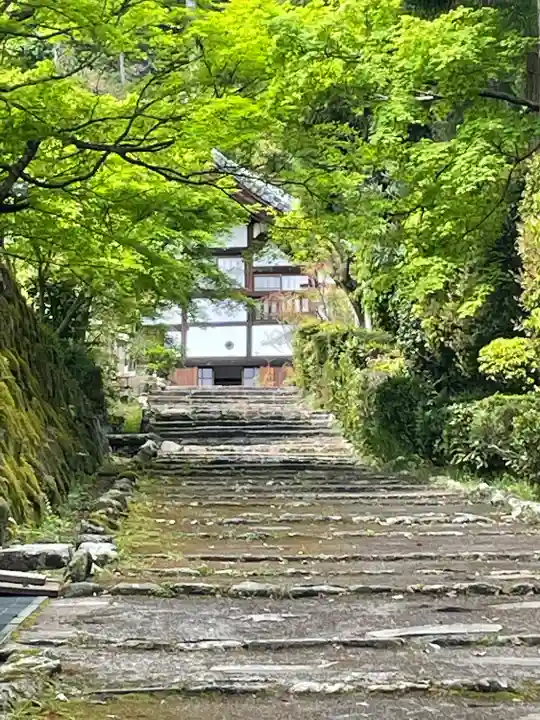 正伝護国禅寺(正伝寺・正傳寺)(京都府)