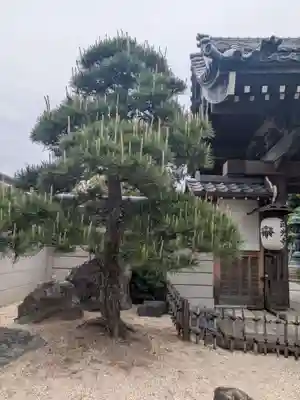 正光寺(東京都)